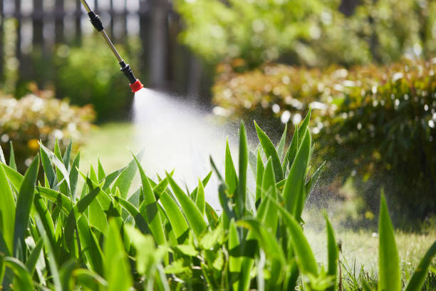 24/7 Emergency Mosquito Control experts in Thibodaux, LA