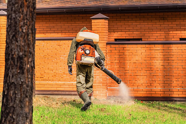 Top rated local Mosquito Control specialists in Thibodaux, LA